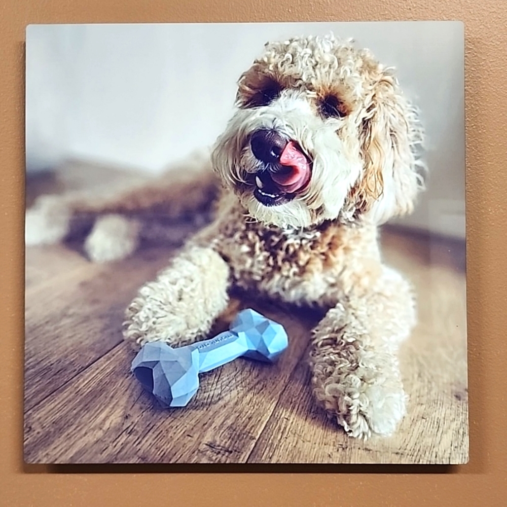 Dog Bone Super Bite Blue